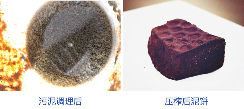 圖片4副本.jpg